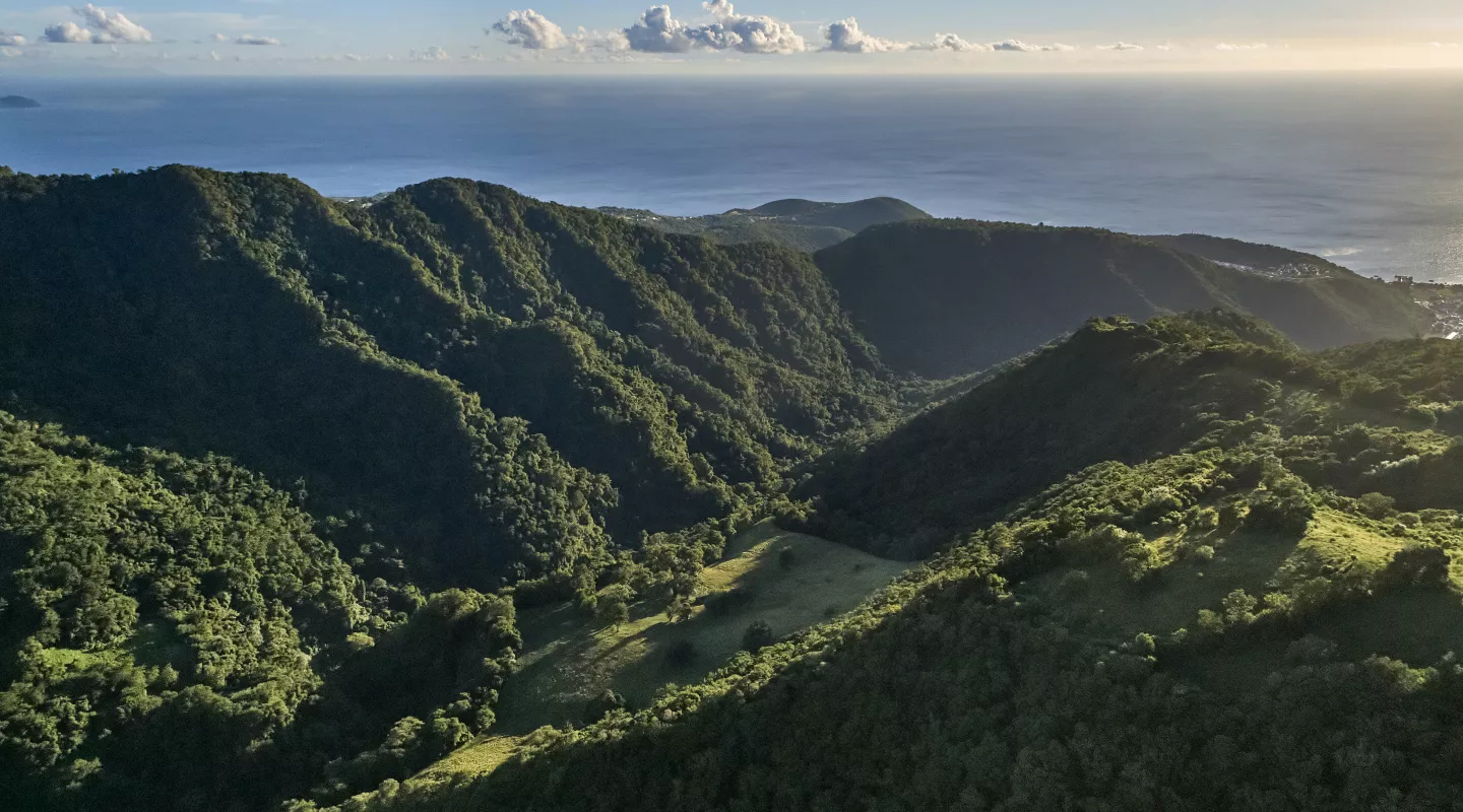 photo drone de la montagne pelée (Verrier)