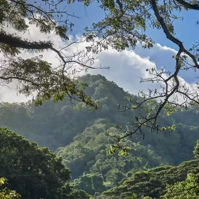 montagne pelee