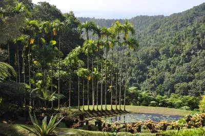 jardin de balata