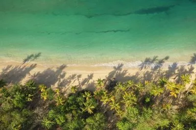 photo de la plage des salines en martinique vue aérienne